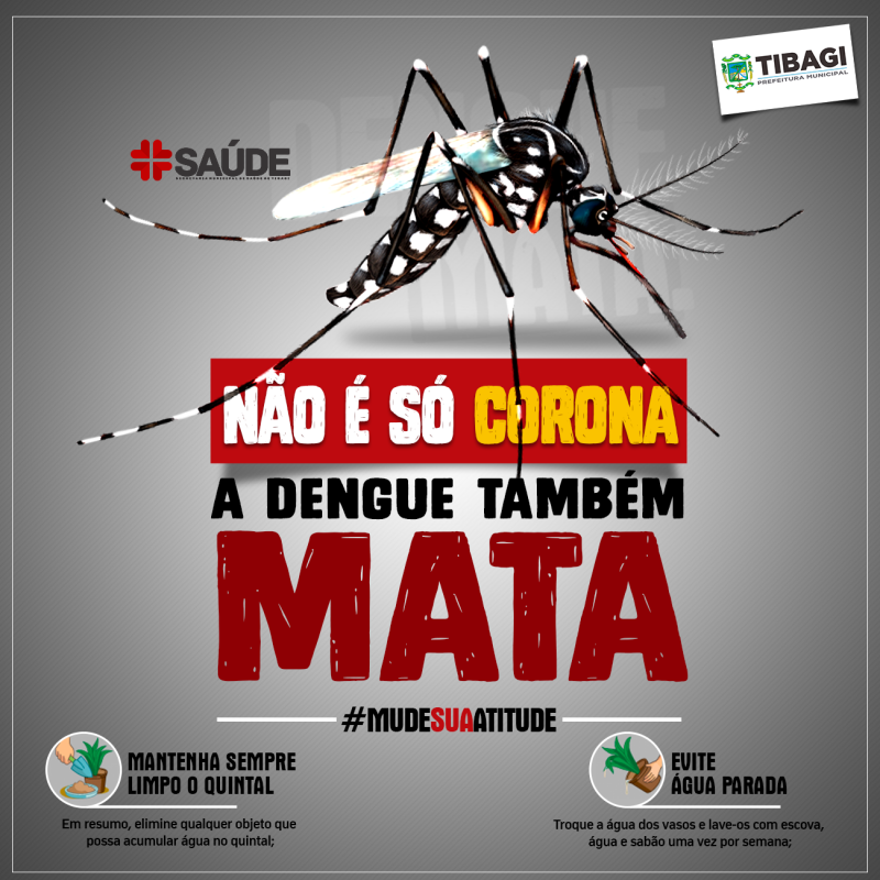 A Dengue também mata