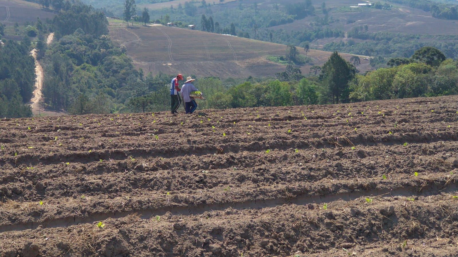 Agricultura de Tibagi realiza primeiro passo para a concessão de títulos definitivos em assentamentos da Reforma Agrária