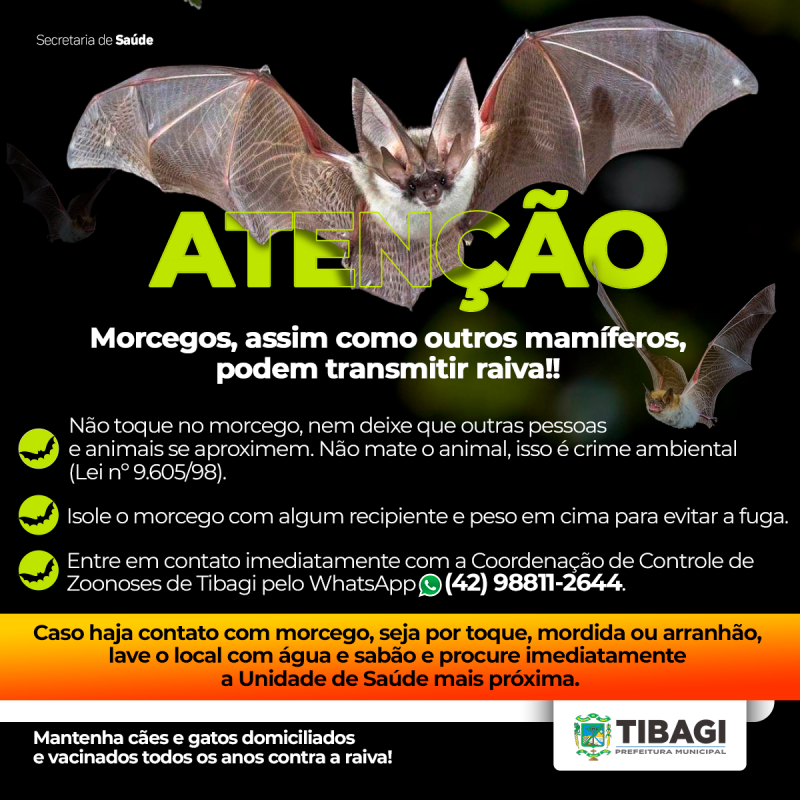 Controle de Zoonose de Tibagi alerta sobre 2 novos casos de morcegos positivos para raiva